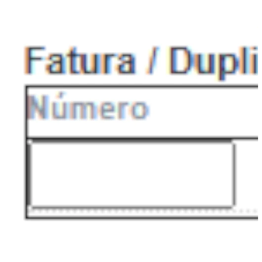Raio X do DANFE - Campo 05
